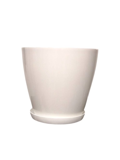 Lisa P28 Blanca