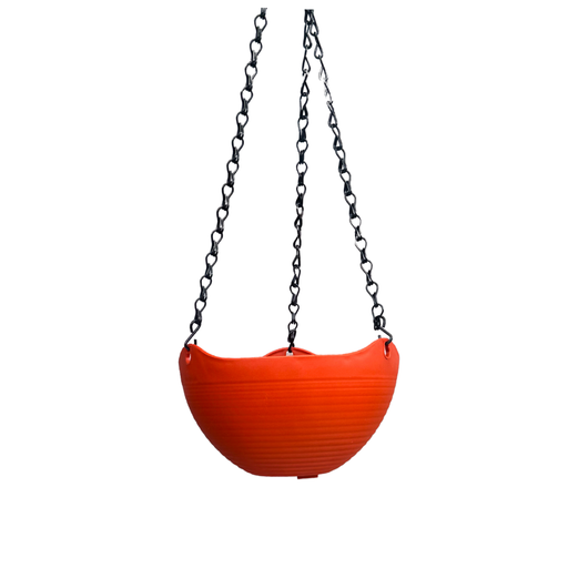 Congalte Roja