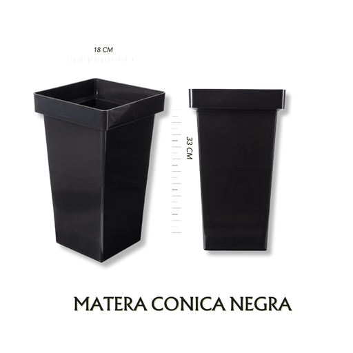 Conica Negra